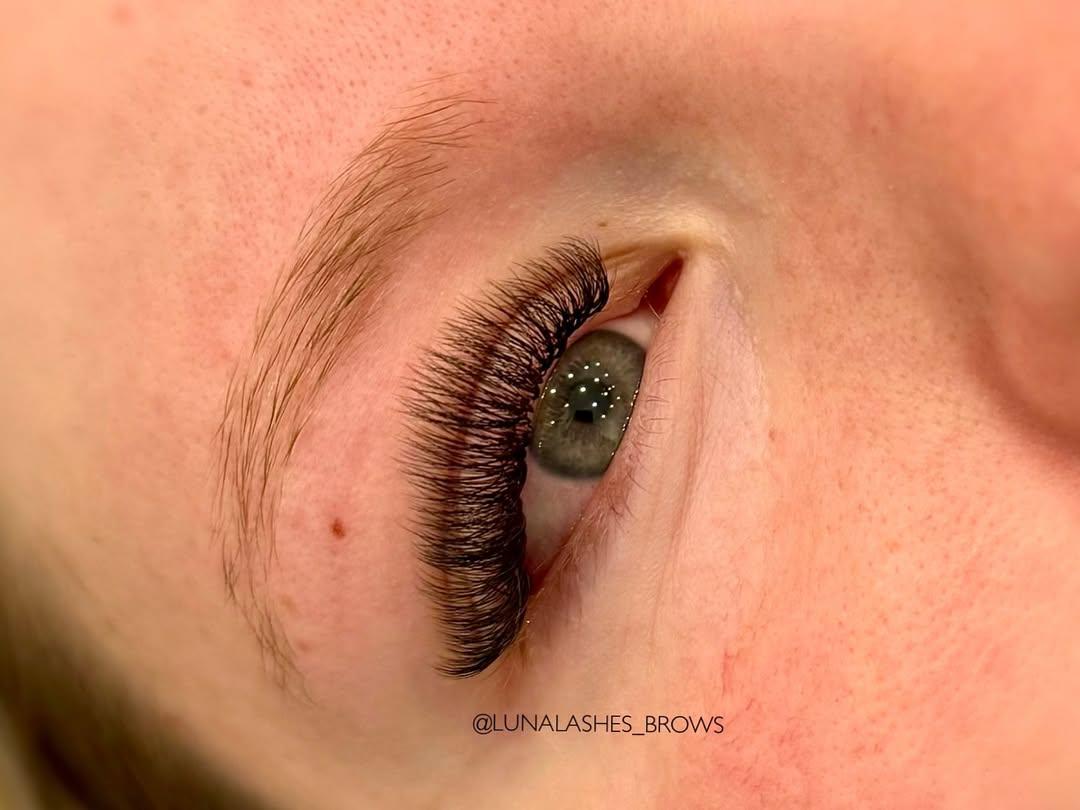 Edmonton Lash Common photo 9