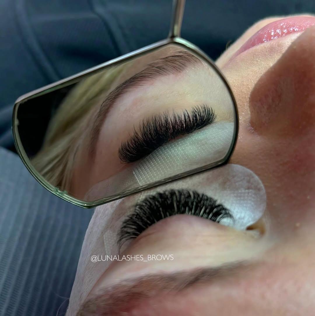 Edmonton Lash Common photo 10